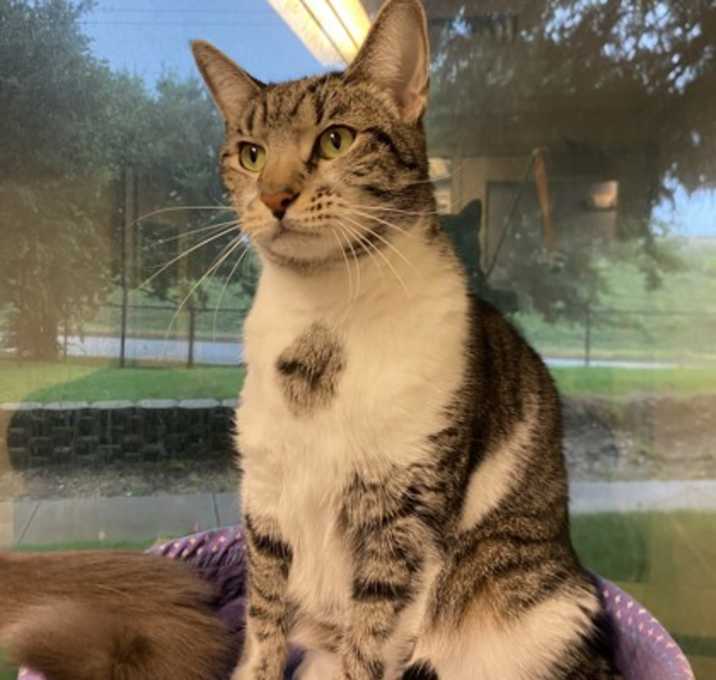 Photo of Mr.Pat
