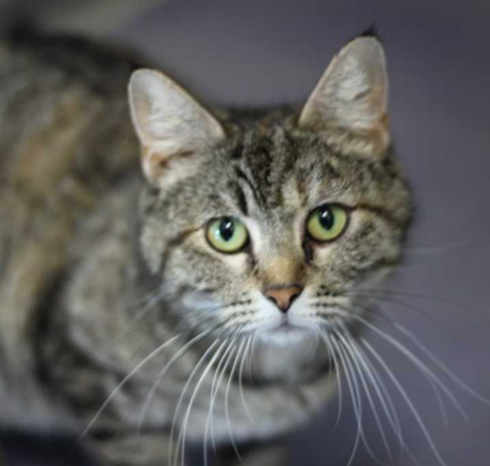 Photo of Auddie