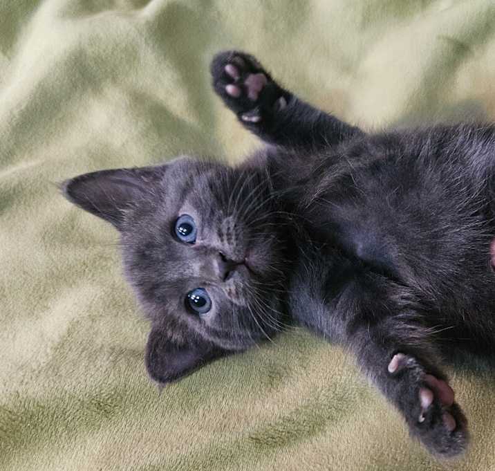 Photo of Bolt Grey