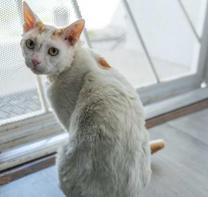 Photo of Allie