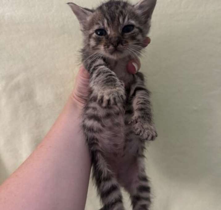 Photo of Hazel