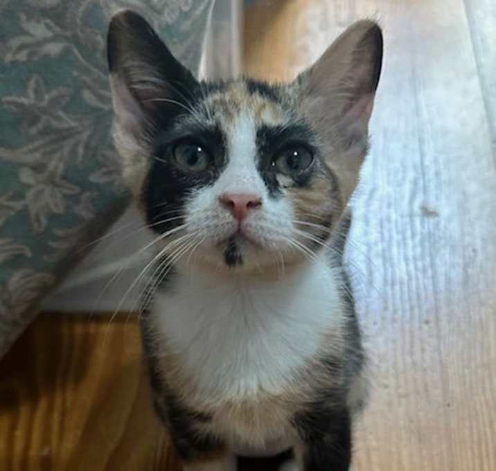 Photo of Lucky Charm