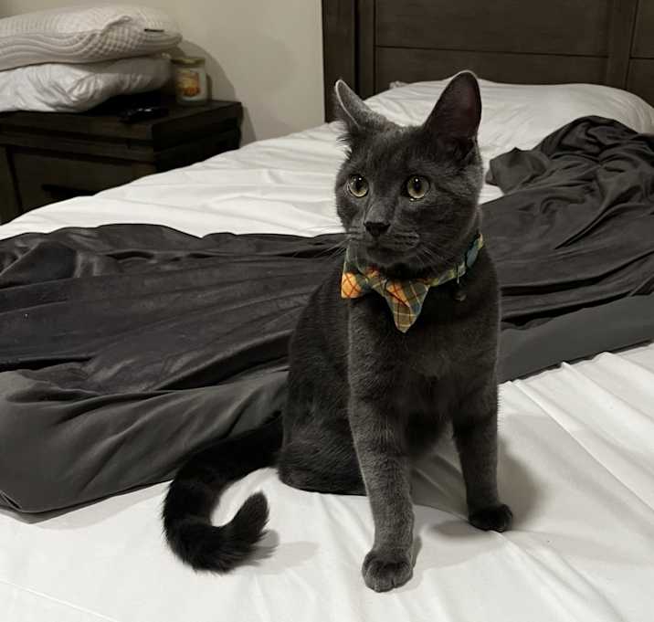 Photo of Tobias