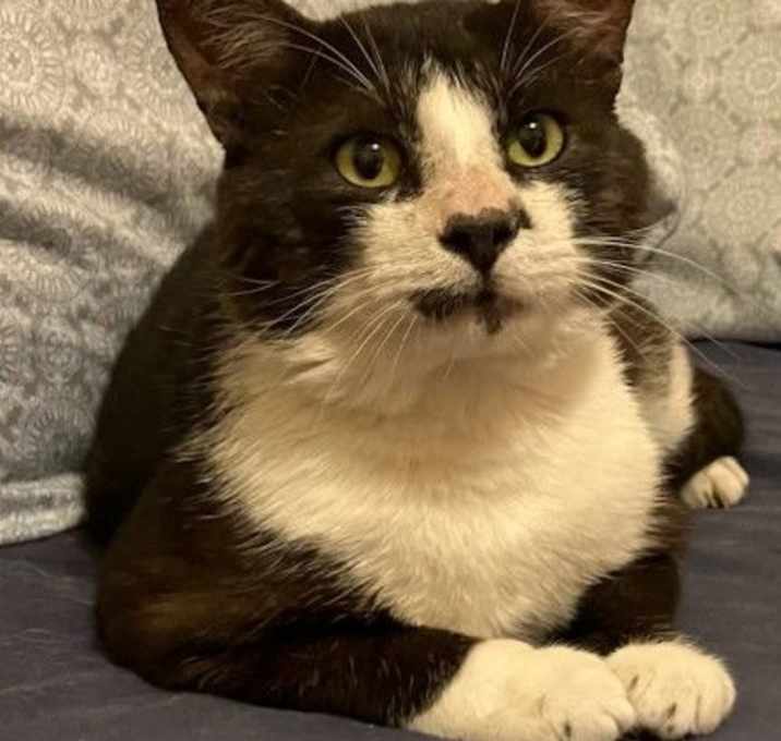 Photo of Bubba Buttons