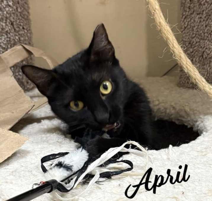 Photo of April #your-new-bestie