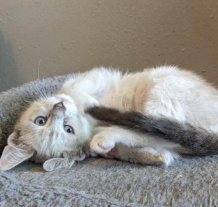 Photo of Millie
