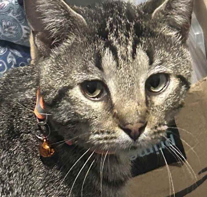 Photo of Bug