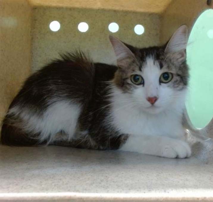 Photo of PENELOPE