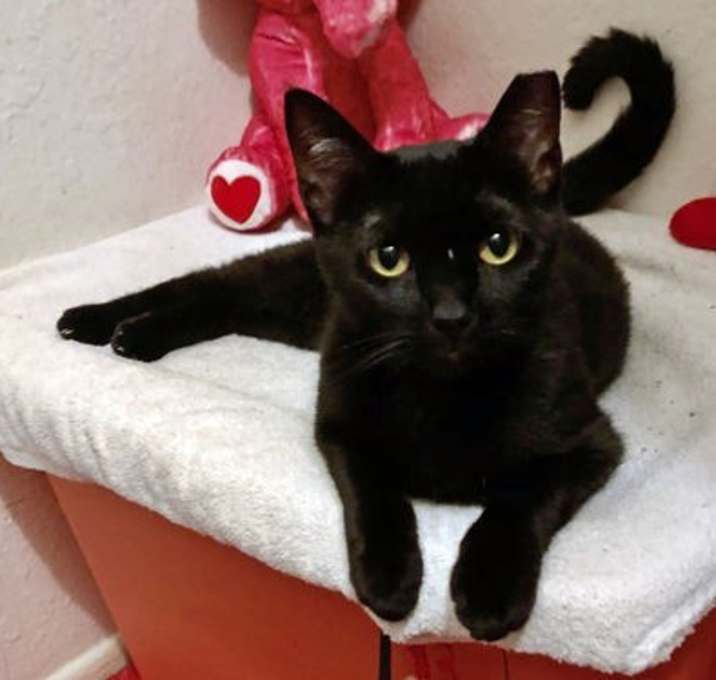 Photo of Alley