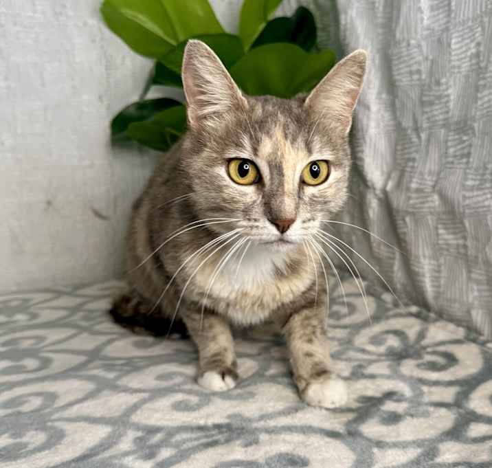 Photo of Fannie Mae