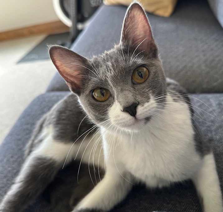 Photo of Ezra