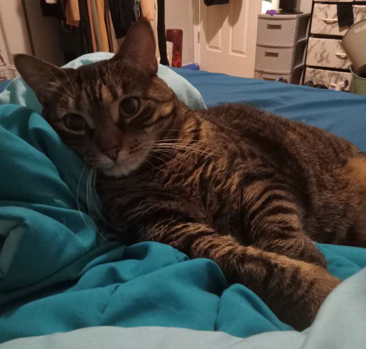 Photo of Rhaenyra