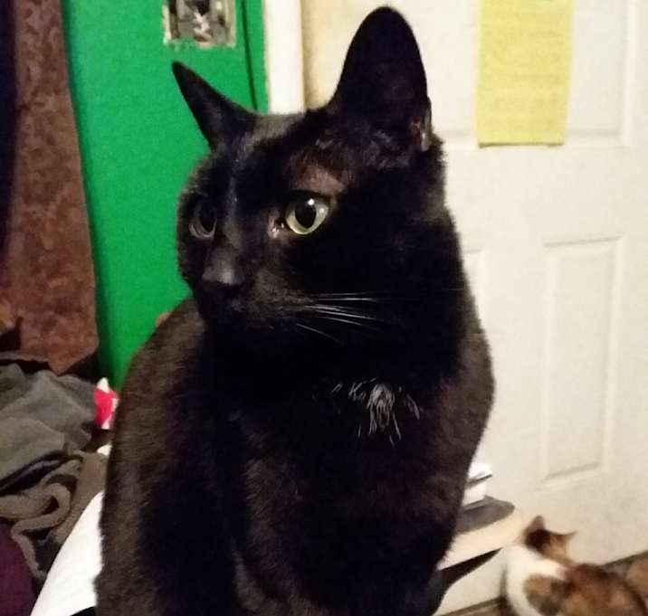 Photo of Jasper