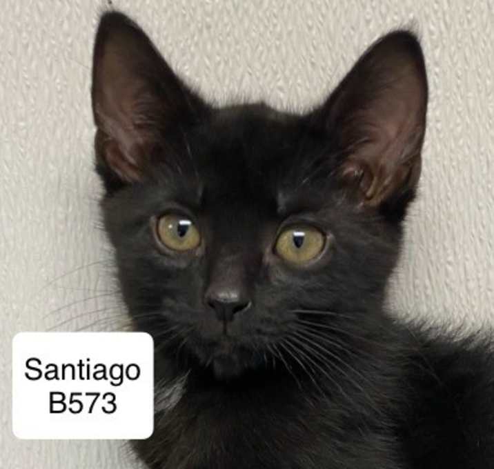 Photo of Santiago B573