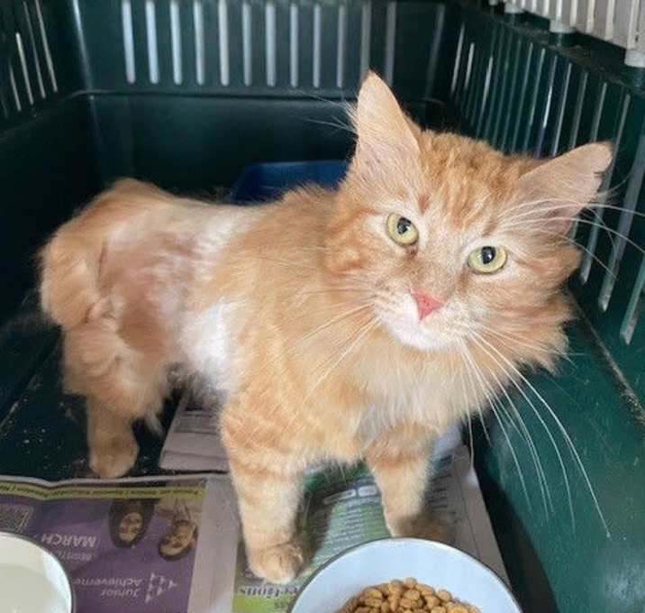 Photo of Cash