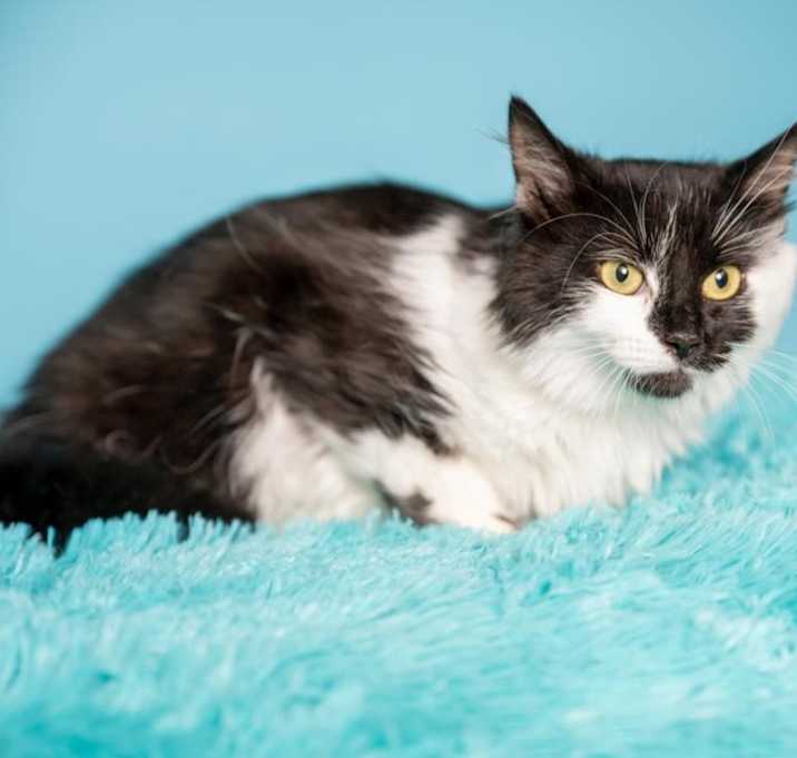 Photo of Mookie