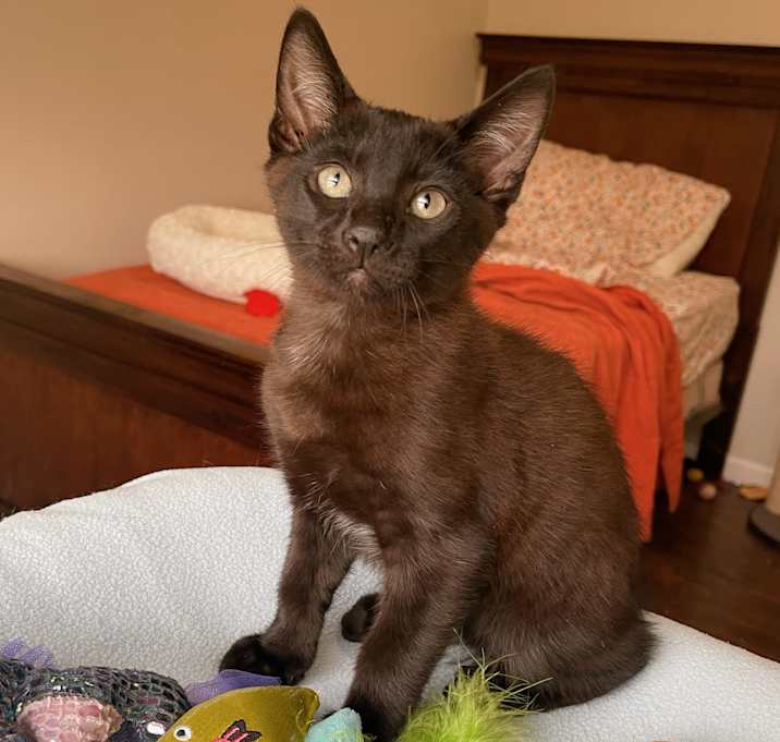Photo of Breeze