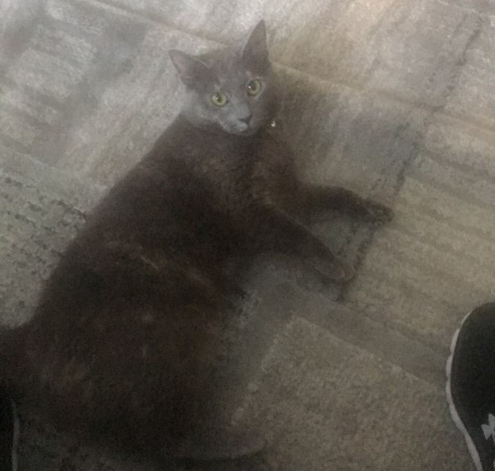 Photo of Precious