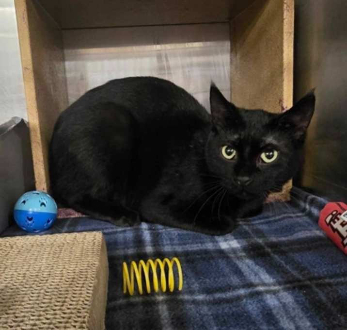 Photo of Binks