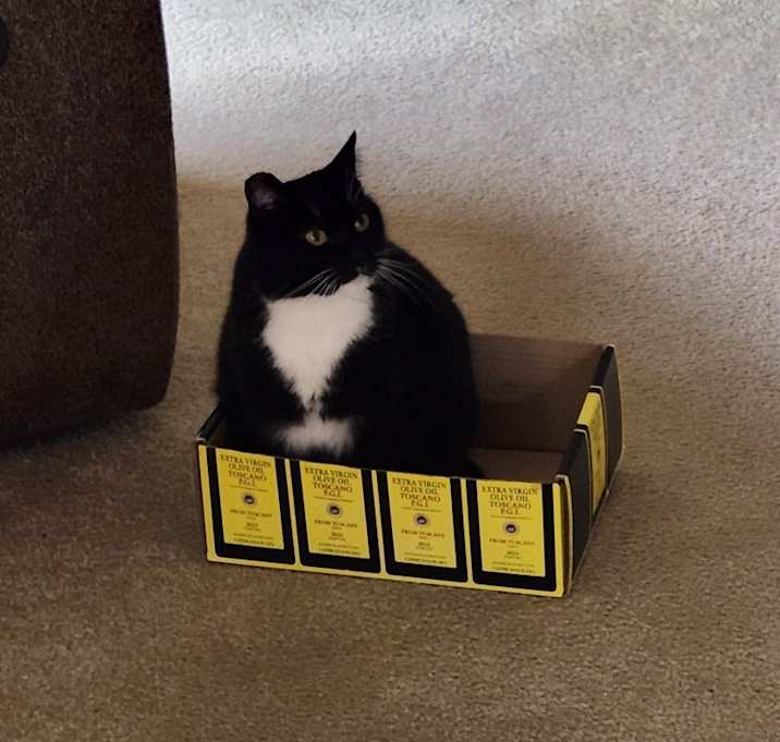 Photo of Mama