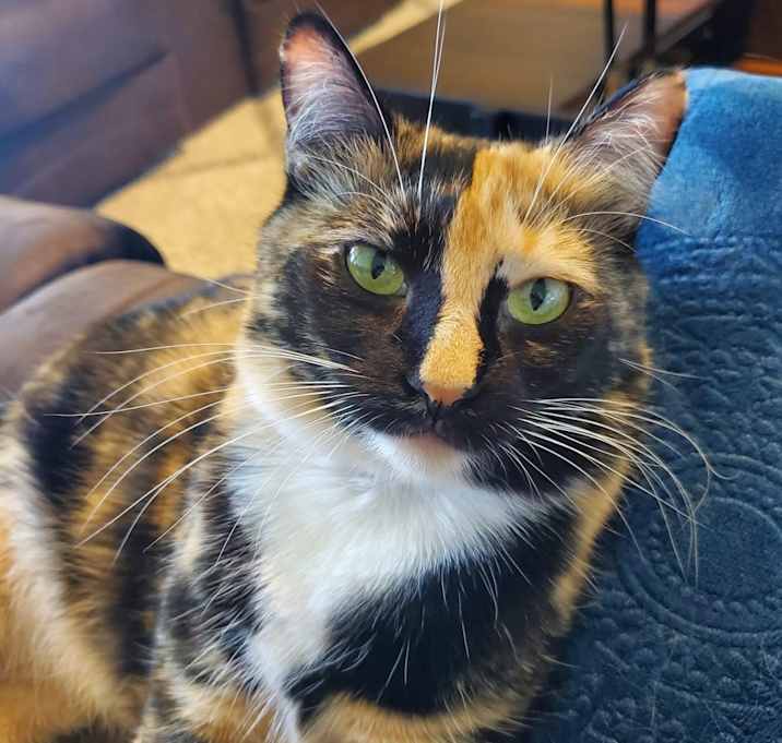 Photo of Nyx