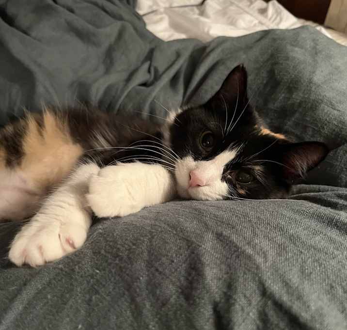 Photo of Lucy