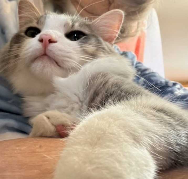 Photo of Tommy