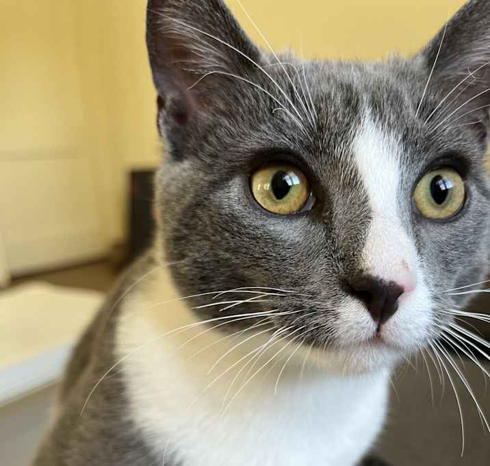 Photo of Gumbo