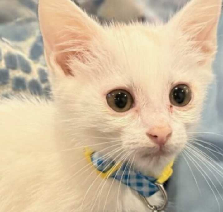 Photo of Olaf