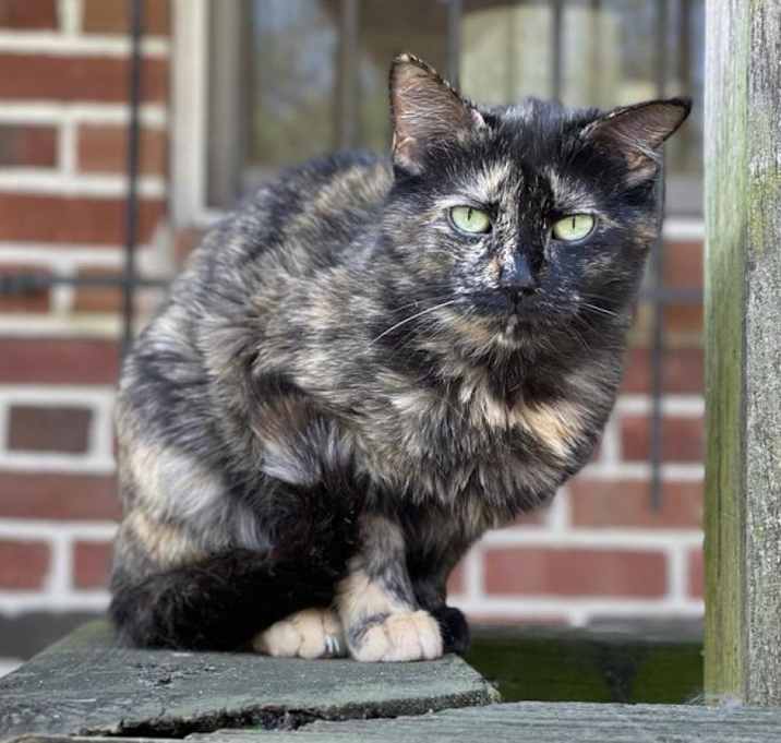 Photo of Esther