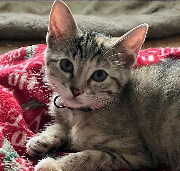 Photo of Cammie