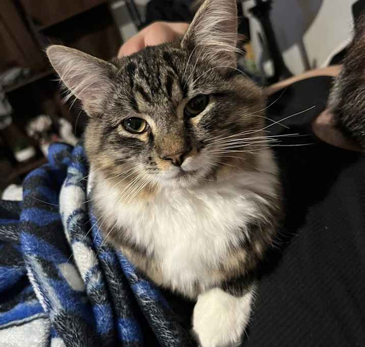Photo of Theodore