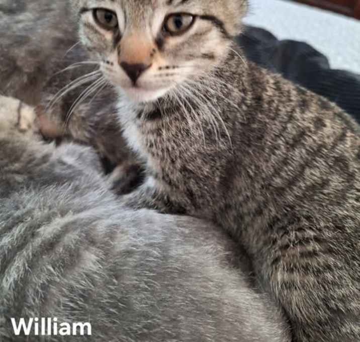Photo of William
