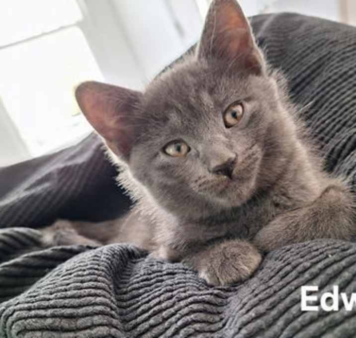 Photo of Edwin