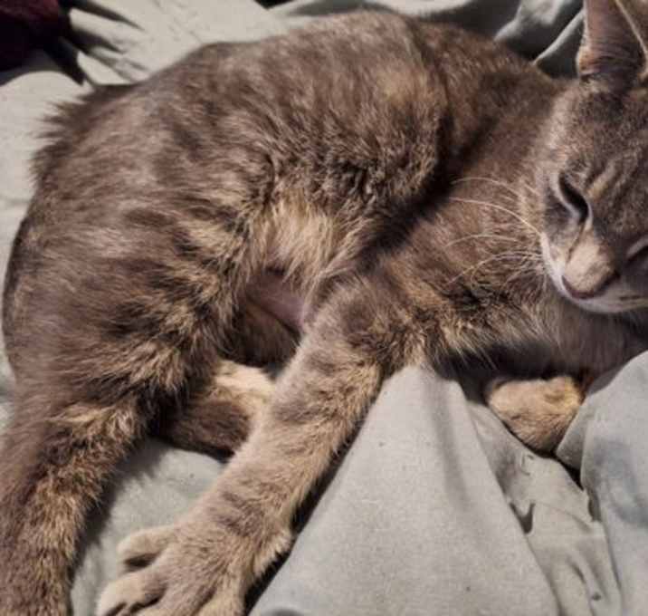 Photo of Milly