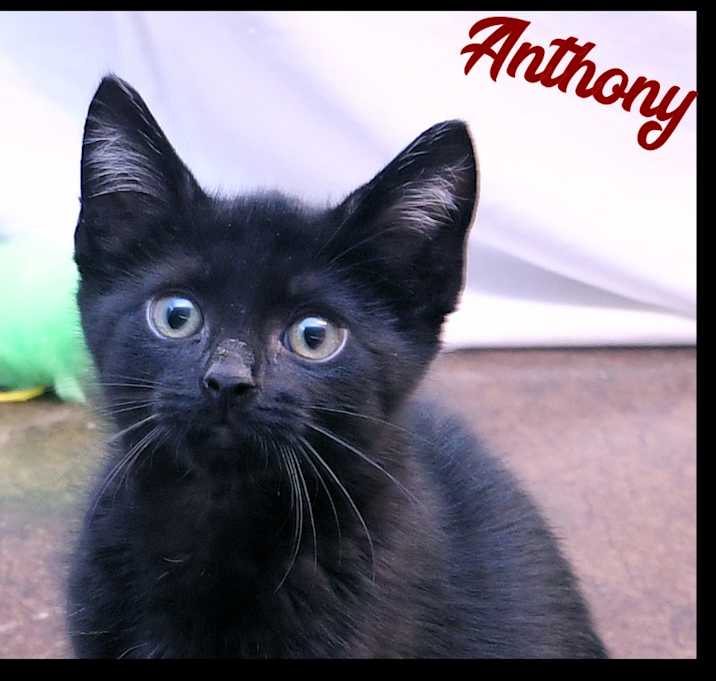 Photo of Anthony
