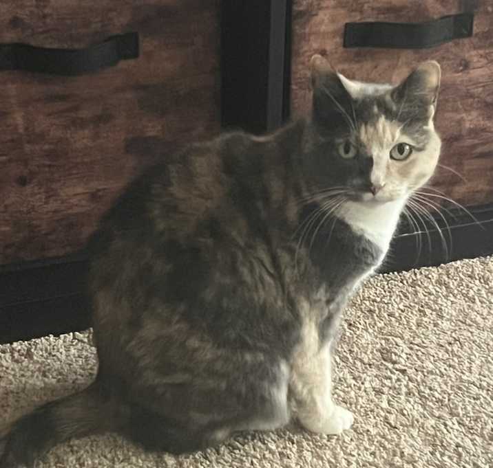 Photo of Sienna
