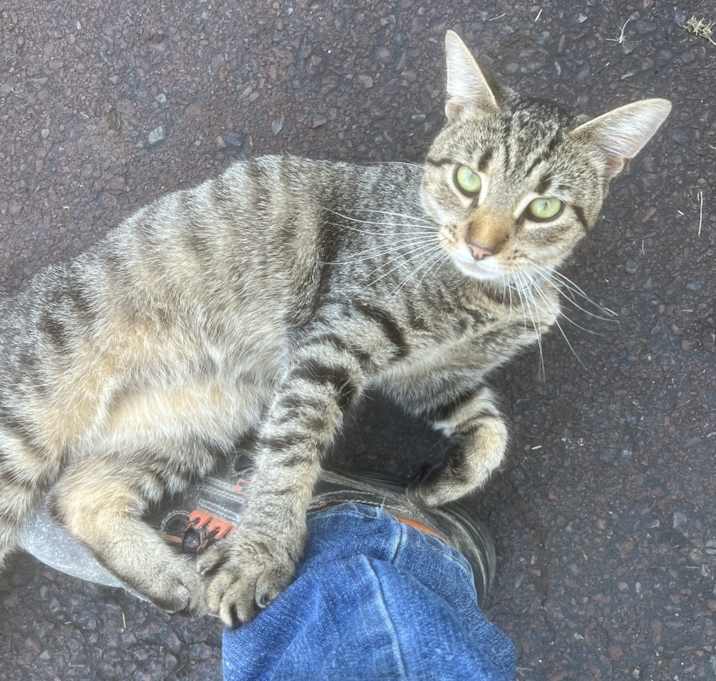 Photo of Boots