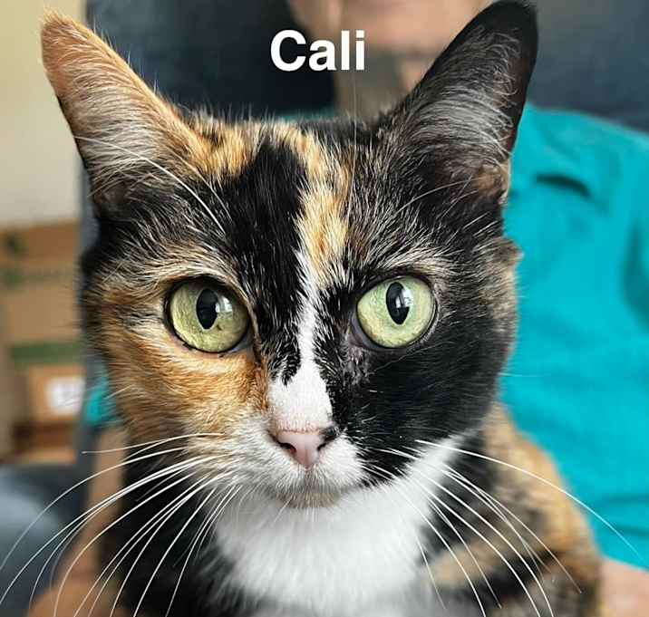 Photo of Cali