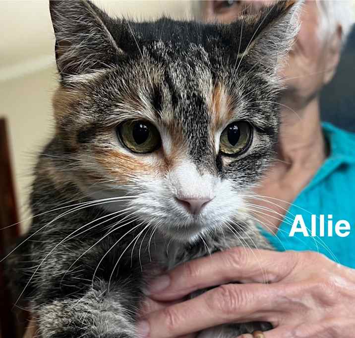 Photo of Allie