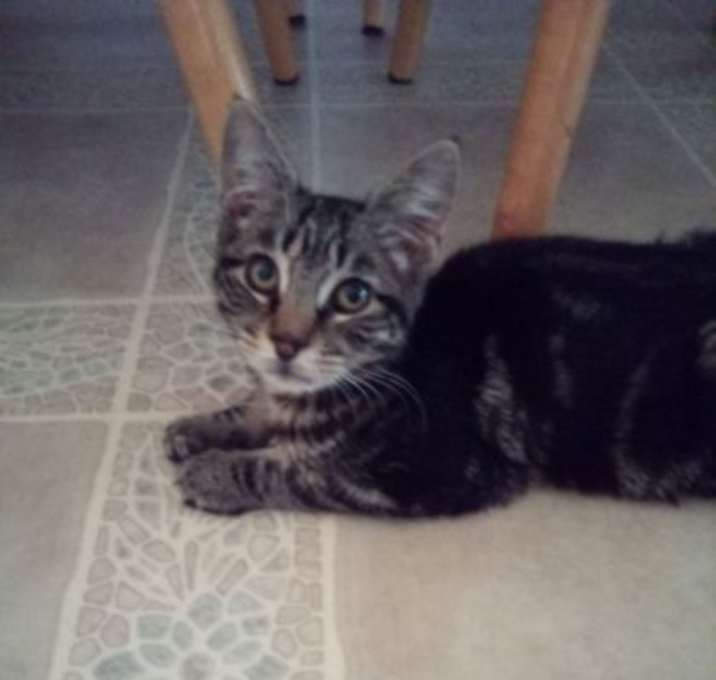 Photo of Oliver