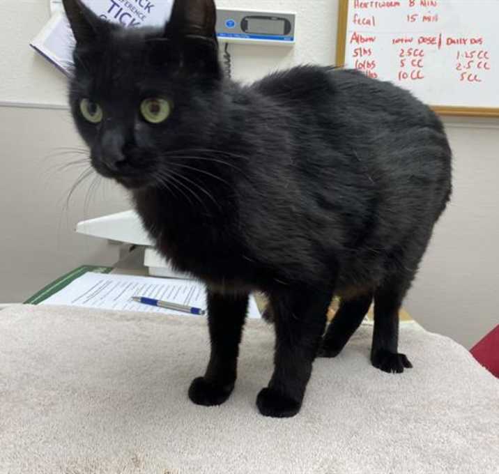 Photo of LUNA
