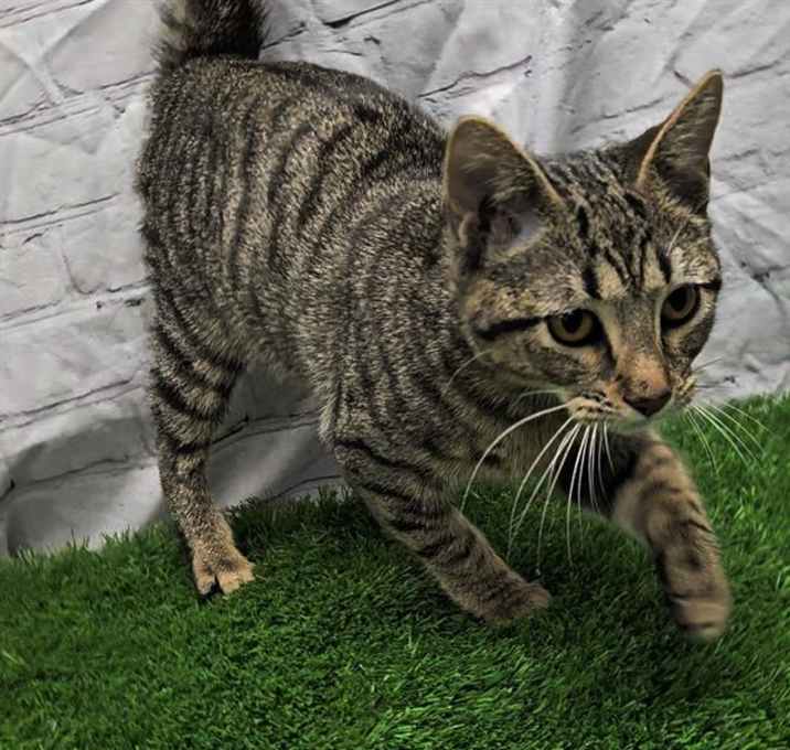 Photo of A009959