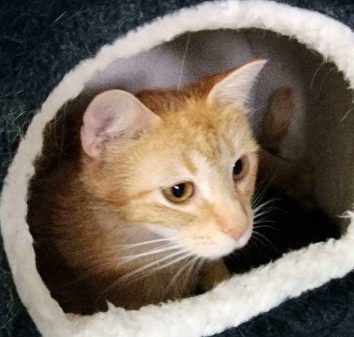 Photo of Lola
