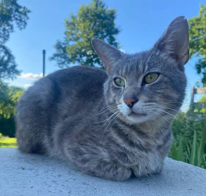 Photo of Leo