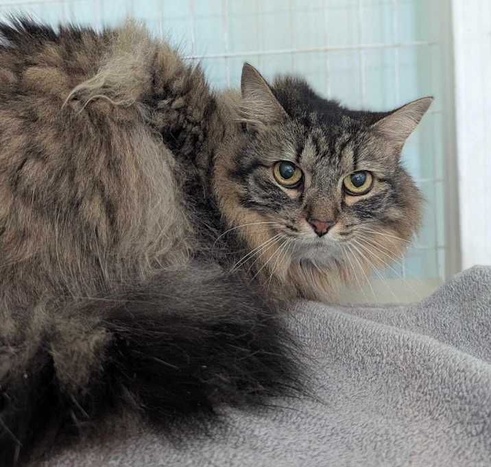 Photo of Junebug