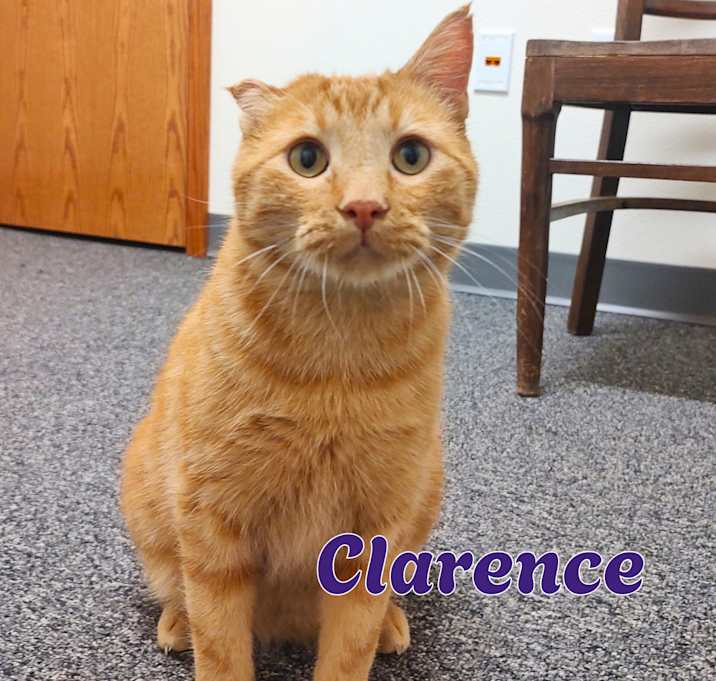 Photo of Clarence