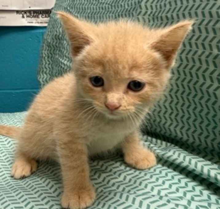Photo of Dr. Evil