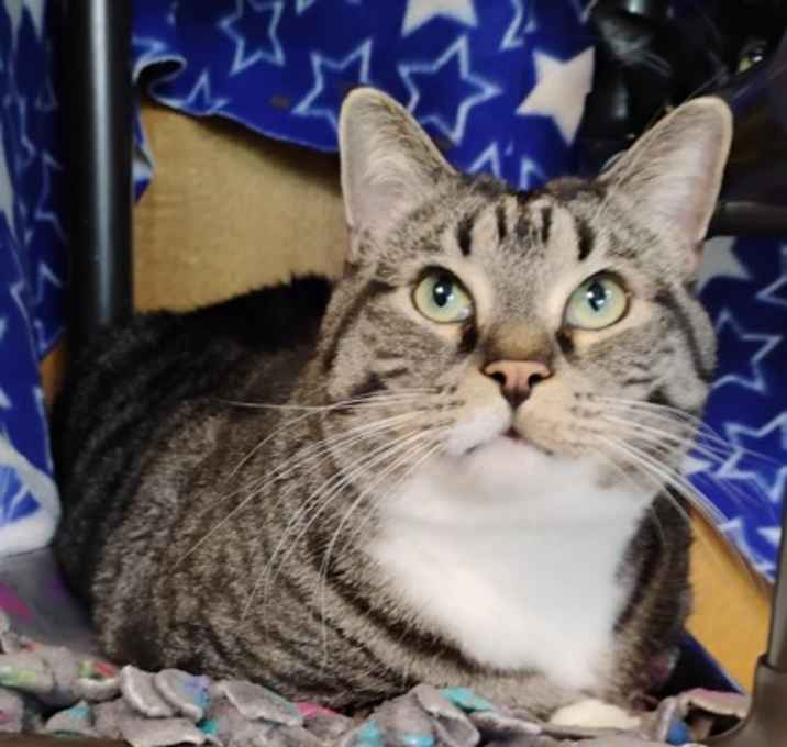 Photo of Simon