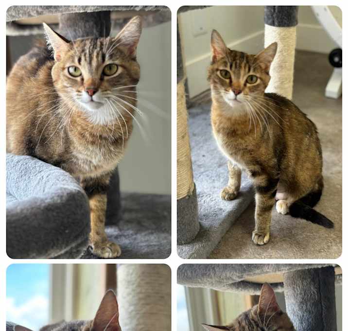Photo of Felicia
